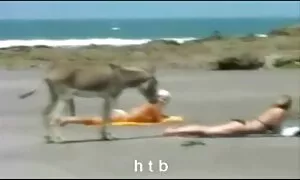 قارچ پرتاب بهترین سکس های جهان کلاه بر روی مرغ و نعناع